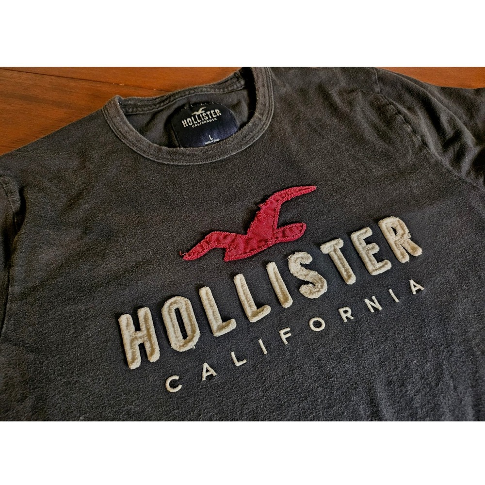 Hollister Graphic T Shirt Mens Large Gray Red Seagull Chenille Logo Tee